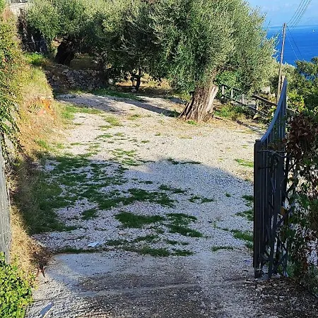 Aris Corfu فيلة *